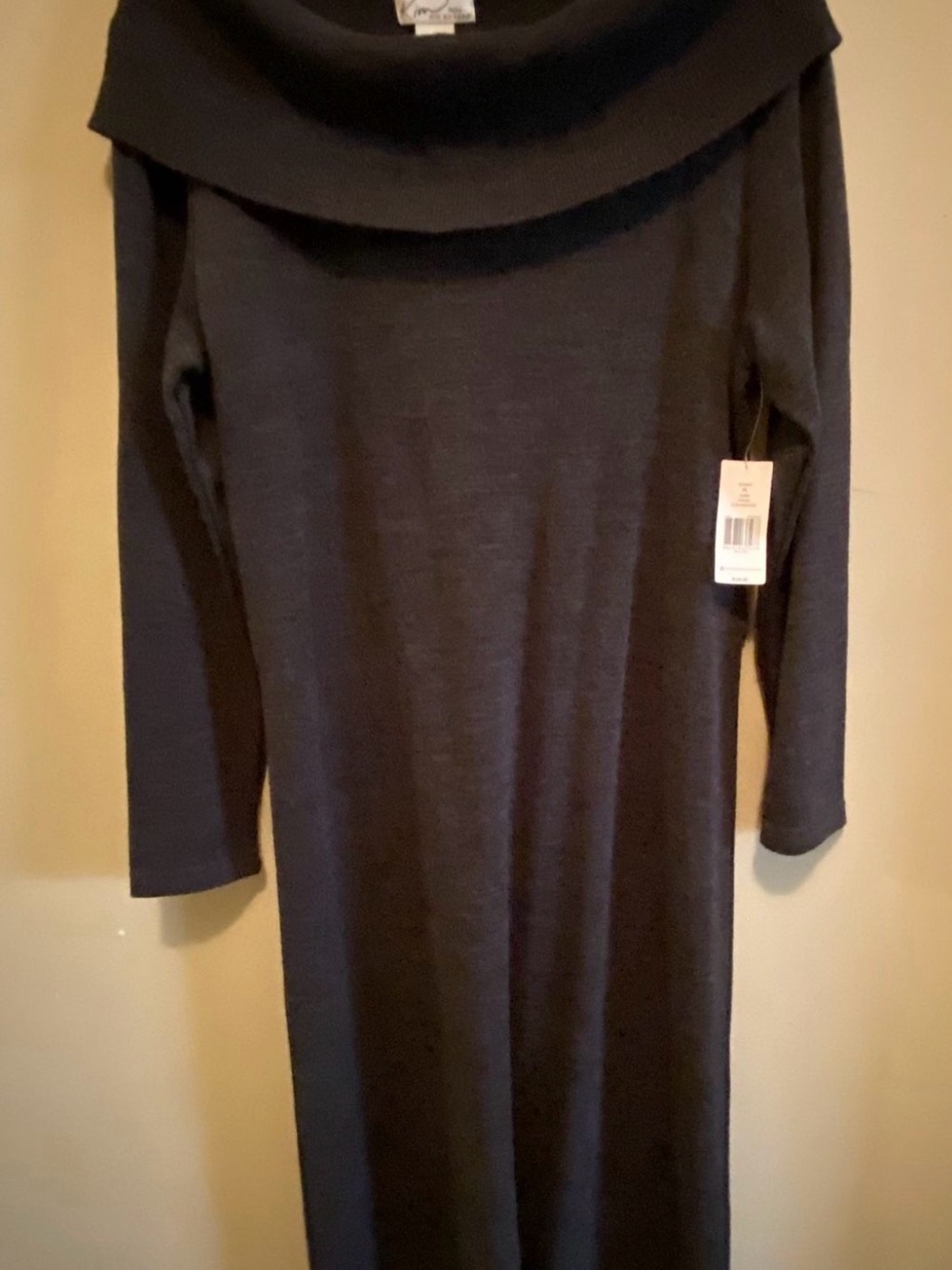NWT Kim Rogers Cowl Neck Long Sleeve Sweater Dress PL Petite L Retail $100